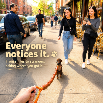 Funny Sausage Leash