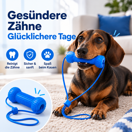 Zahnreiniger für Hunde